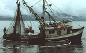Fishing vessel off the South American Coast